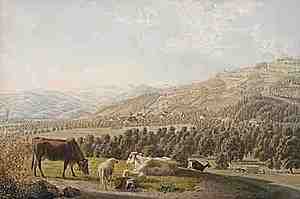 Schuler Auktionen AG - Biedermann, Johann Jakob