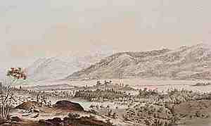 Schuler Auktionen AG - Rapperswil