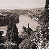 Schuler Auktionen AG - Steiner, Albert