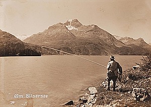 Schuler Auktionen AG - Steiner, Albert