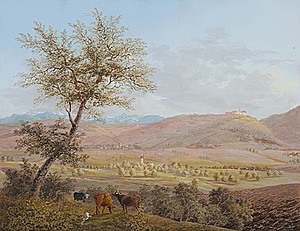 Schuler Auktionen AG - Maurer, Heinrich