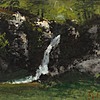 Schuler Auktionen AG - Courbet, Gustave 