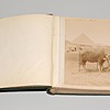 Schuler Auktionen AG - Fotoalbum