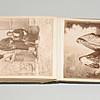 Schuler Auktionen AG - Fotoalbum