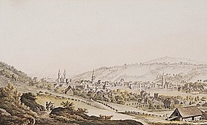 Schuler Auktionen AG - Bleuler, Johann Heinrich