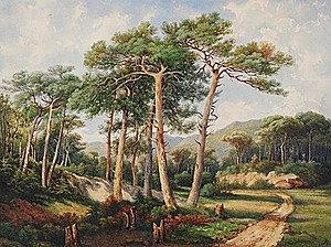 Schuler Auktionen AG - Calame, Arthur