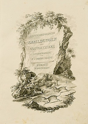 Schuler Auktionen AG - Säugetiere - Schinz, Hans Rudolf