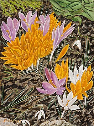 Schuler Auktionen AG - Dietrich, Adolf