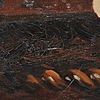 Schuler Auktionen AG - Cran, Jules 