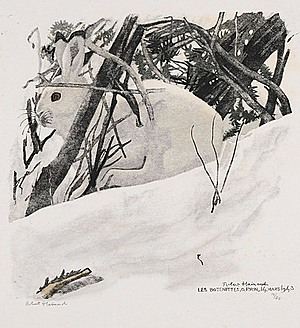 Schuler Auktionen AG - Hainard, Robert