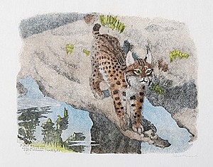 Schuler Auktionen AG - Hainard, Robert