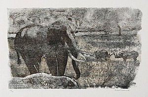 Schuler Auktionen AG - Hainard, Robert