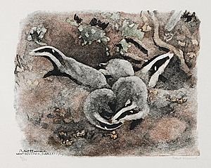 Schuler Auktionen AG - Hainard, Robert