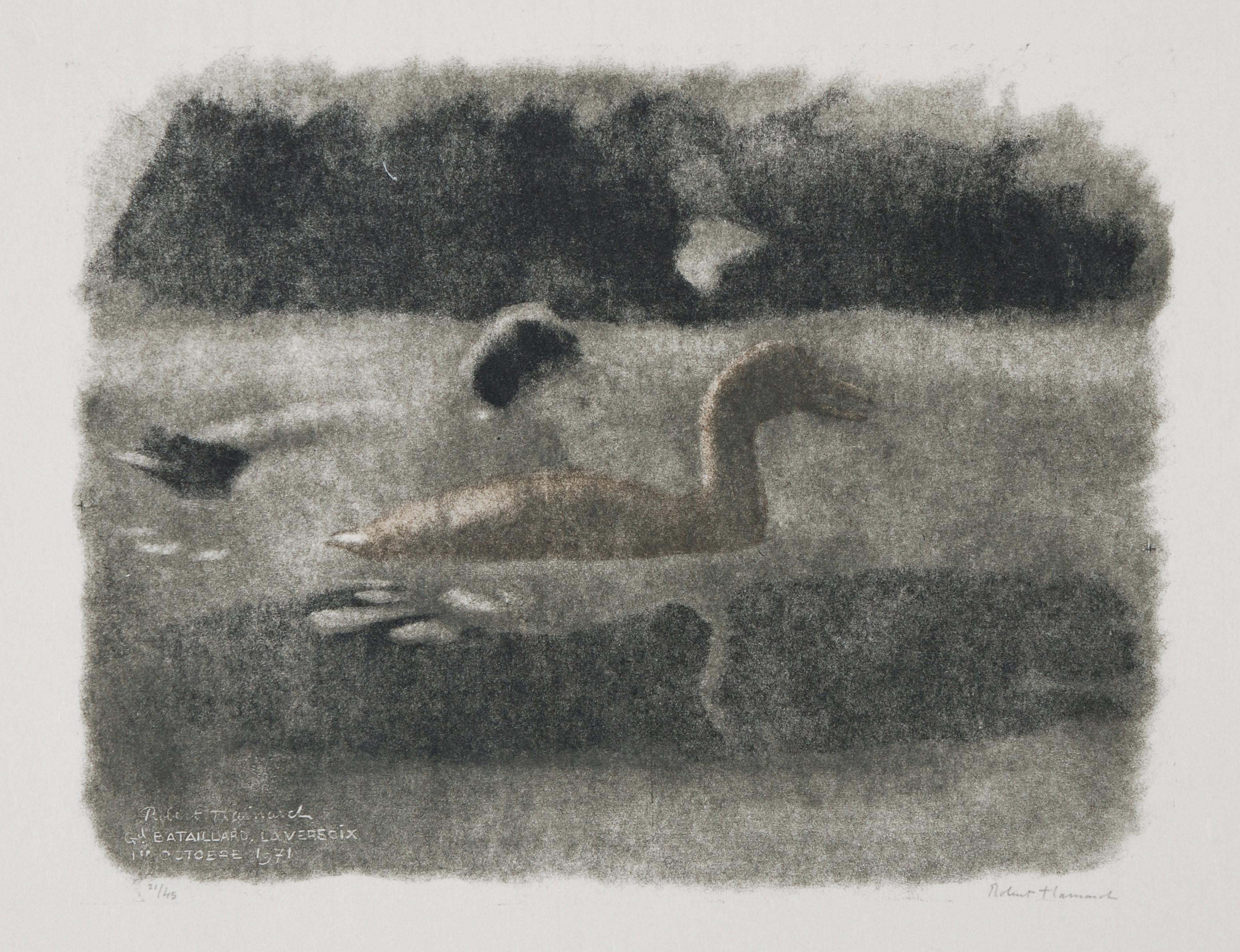 Hainard, Robert Schuler Auktionen Zürich