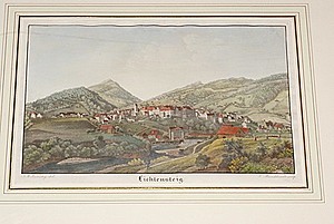 Schuler Auktionen AG - Lichtensteig
