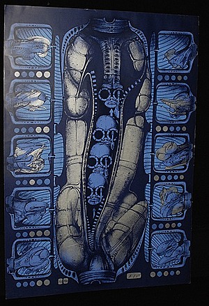 Schuler Auktionen AG - Giger, H. R.