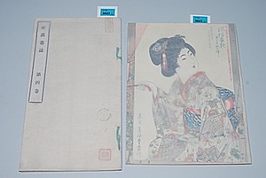 Schuler Auktionen AG - Lot 2 Bücher