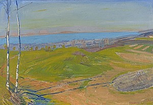 Schuler Auktionen AG - Pfister, Albert