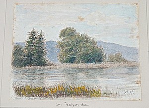 Schuler Auktionen AG - Zürich, Kanton