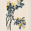 Schuler Auktionen AG - Wu Changshuo (1844–1927), Huahuice