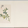 Schuler Auktionen AG - Wu Changshuo (1844–1927), Huahuice