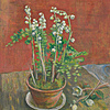Schuler Auktionen AG - Pellegrini, Alfred Heinrich