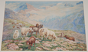 Schuler Auktionen AG - Fischer-Hinnen, Jakob Henri