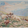 Schuler Auktionen AG - Fischer-Hinnen, Jakob Henri