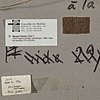 Schuler Auktionen AG - Menge, Charles