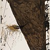 Schuler Auktionen AG - Tapies, Antoni