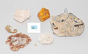 Schuler Auktionen AG - Lot: Versteinerungen und Mineralien