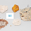 Schuler Auktionen AG - Lot: Versteinerungen und Mineralien
