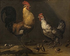 Schuler Auktionen AG - Hondecoeter, Melchior de 