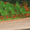 Schuler Auktionen AG - Albertini, Oreste