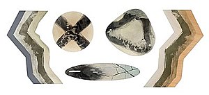 Schuler Auktionen AG - Suter, Hugo