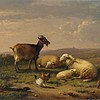 Schuler Auktionen AG - Verboeckhoven, Eugène Joseph
