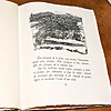 Schuler Auktionen AG - Richier, Germaine