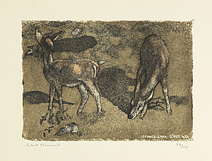 Schuler Auktionen AG - Hainard, Robert