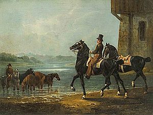Schuler Auktionen AG - Gessner, Conrad