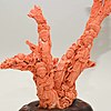 Schuler Auktionen AG - Korallenskulptur