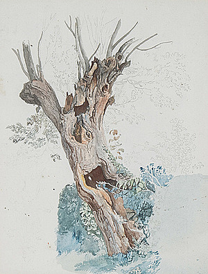 Schuler Auktionen AG - Töpffer, Wolfgang-Adam