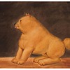 Schuler Auktionen AG - Botero, Fernando
