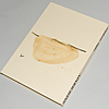 Schuler Auktionen AG - Tapies, Antoni