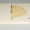 Schuler Auktionen AG - Tapies, Antoni