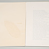 Schuler Auktionen AG - Tapies, Antoni