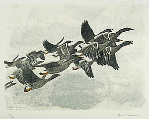 Schuler Auktionen AG - Hainard, Robert