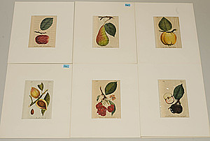 Schuler Auktionen AG - Früchte