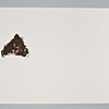 Schuler Auktionen AG - Tapies, Antoni
