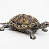 Schuler Auktionen AG - Tierfigur: Schildkröte