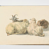 Schuler Auktionen AG - Biedermann, Johann Jakob